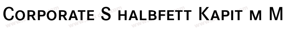 Corporate S halbfett Kapit m Medziff字体转换